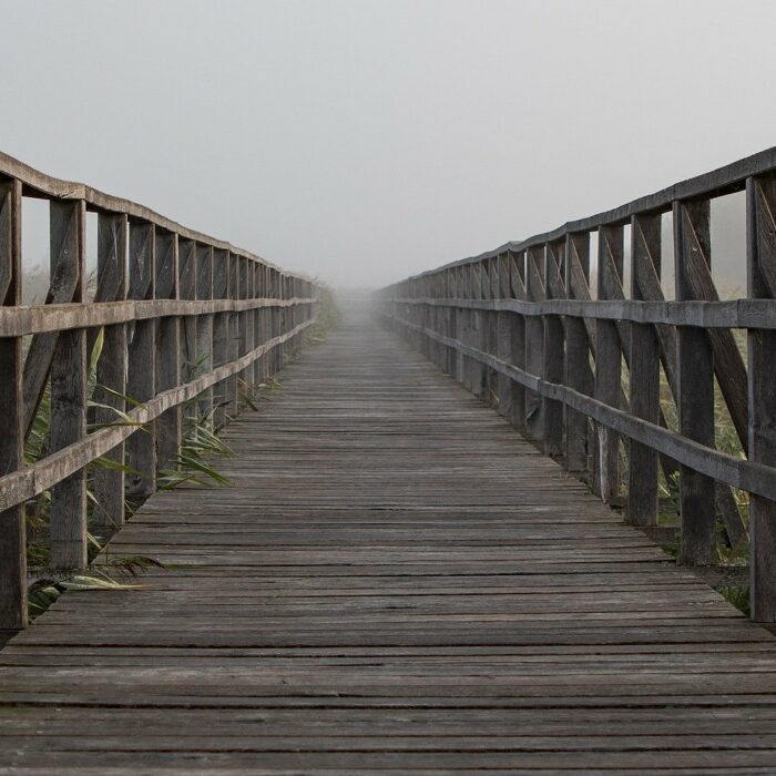 Cover for episode: 27. Social Work Management in the Uncertain