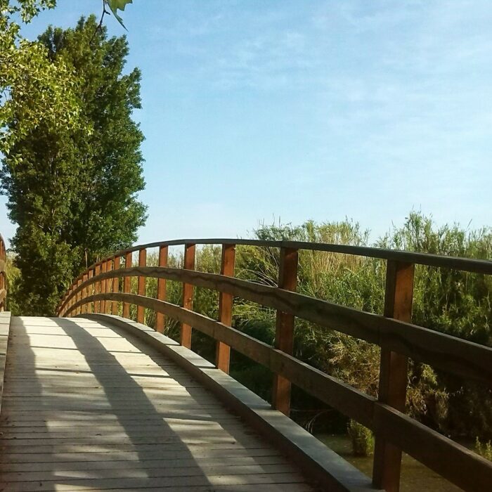 Cover for episode: 32. Understanding Entrepreneurship  Education